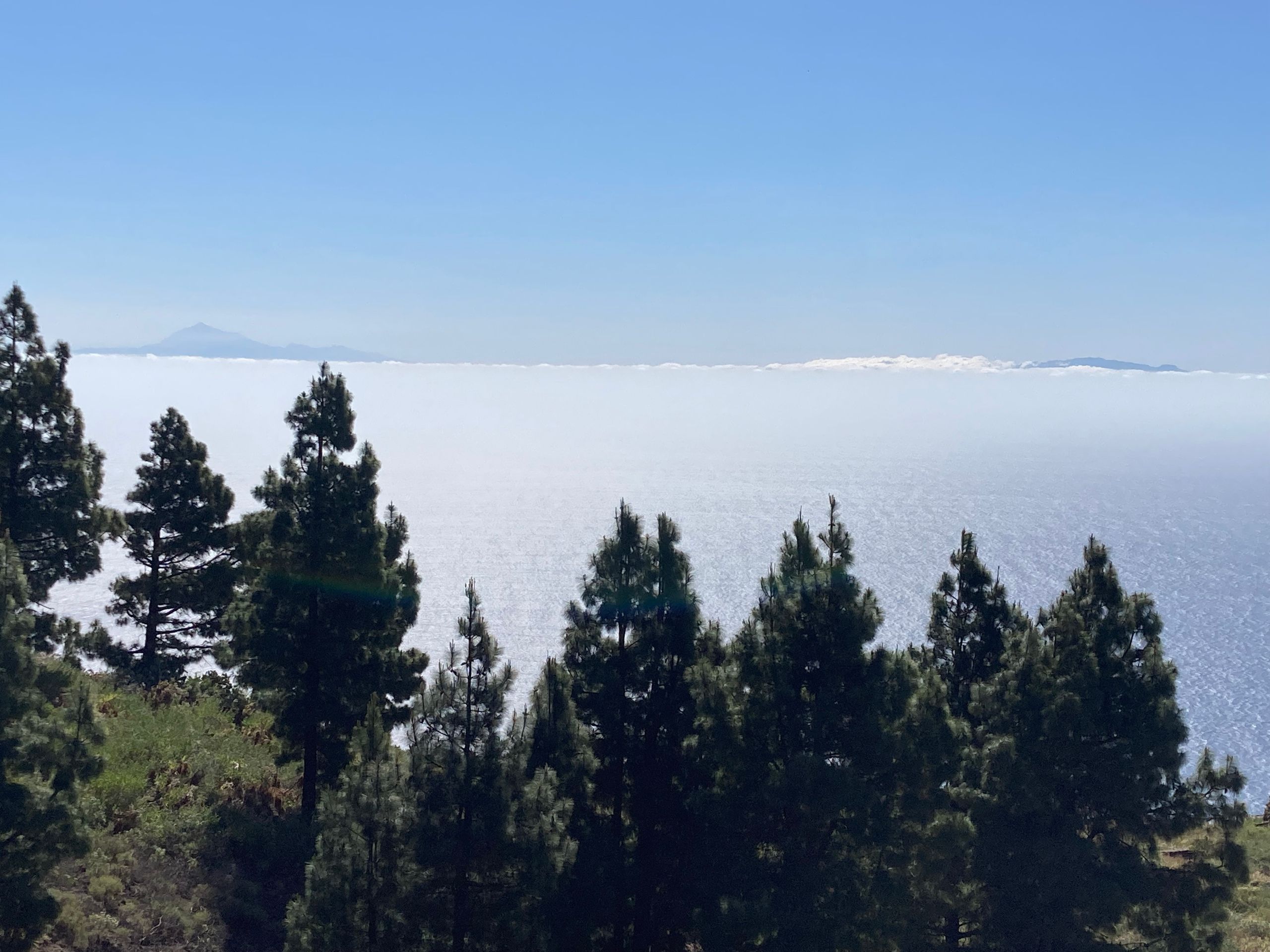 Canarias